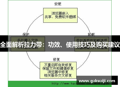 全面解析拉力带：功效、使用技巧及购买建议