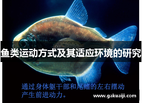 鱼类运动方式及其适应环境的研究